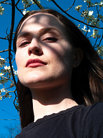 Phoenix Rising posteri