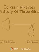Üç Kızın Hikayesi posteri