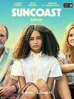 Suncoast posteri