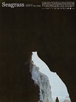Seagrass posteri