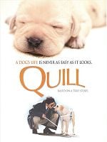 Quill posteri