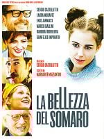 La bellezza del somaro posteri