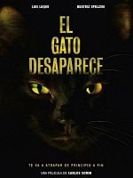 Kaybolan Kedi posteri