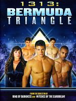 1313: Bermuda Triangle posteri