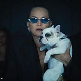 Sharon Stone