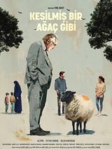 Kesilmiş Bir Ağaç Gibi posteri