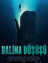  Balina Düşüşü posteri