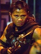 Cung Le