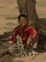 Guo Songtao'un fotoğrafi