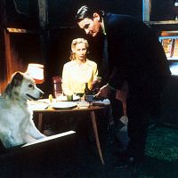 Fotoğraf Markku Peltola