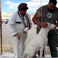 Fotoğraf Walter Donado