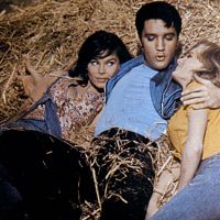 Fotoğraf Gene Nelson