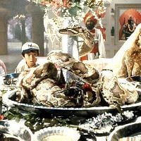 Fotoğraf Kate Capshaw