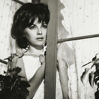 Fotoğraf Virna Lisi