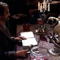 Fotoğraf Ingo Naujoks