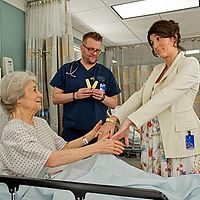 Fotoğraf Lynn Cohen