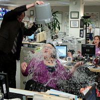 Fotoğraf Rainn Wilson