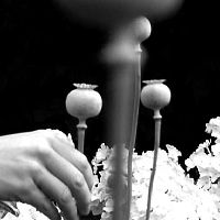 Fotoğraf Pierre Creton