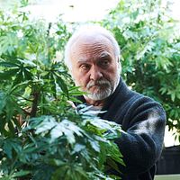 Fotoğraf Kenneth Welsh