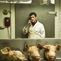 Fotoğraf Dominic Philie