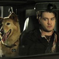 Fotoğraf Chase Williamson