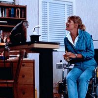 Fotoğraf Kate McNeil