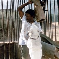 Fotoğraf Paul Winfield