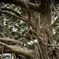 Fotoğraf Nijirô Murakami