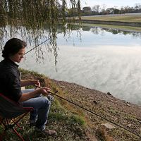 Fotoğraf Keean Johnson