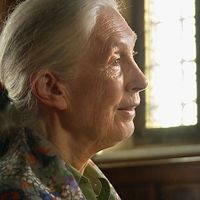 Fotoğraf Jane Goodall