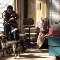 Fotoğraf Marcello Fonte