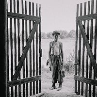 Fotoğraf Petr Kotlar