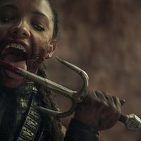 Fotoğraf Sisi Stringer