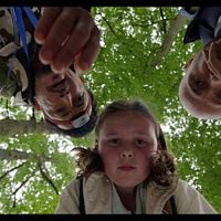 Fotoğraf Midie Dreyfus