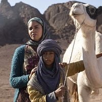 Fotoğraf Nadia Benzakour