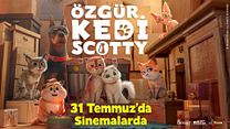 Özgür Kedi Scotty Dublajlı Fragman görüntüsü