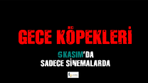 Gece Köpekleri Fragman görüntüsü