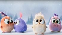 The Angry Birds Movie Orijinal Klip görüntüsü