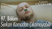 Kırgın Çiçekler 97.Bölüm Fragmanı görüntüsü