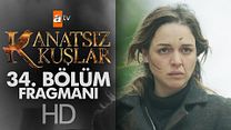 Kanatsız Kuşlar 34.Bölüm Fragmanı görüntüsü