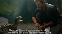Jurassic World: Yıkılmış Krallık Altyazılı Özel Haber görüntüsü