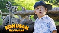 Konuşan Hayvanlar Video klip - Hayvan Dostlarım görüntüsü