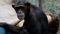 Lucy The Human Chimp Fragman görüntüsü