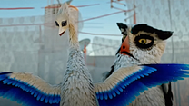 Birds Like Us Fragman görüntüsü