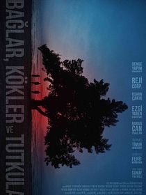 Bağlar, Kökler ve Tutkular