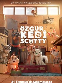 Özgür Kedi Scotty