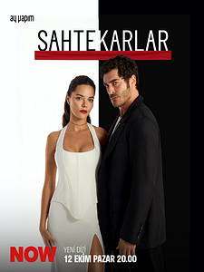 Sahtekarlar Sezon 1 posteri