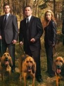 Without a Trace Sezon 7 posteri