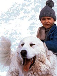 Belle et Sébastien Sezon 1 posteri