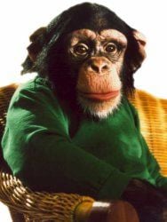 Unser Charly Sezon 15 posteri